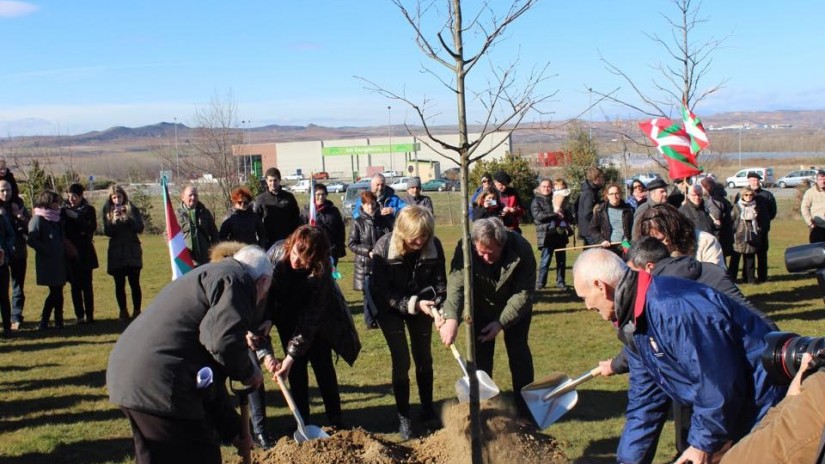 Un retoño del árbol de Gernika para Sartaguda